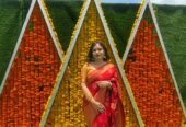 Neelima, BirthYr 1989, BTech,income 20L, MB, Profile No 1083B